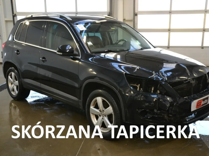 AUDI LITORA NEC AMET